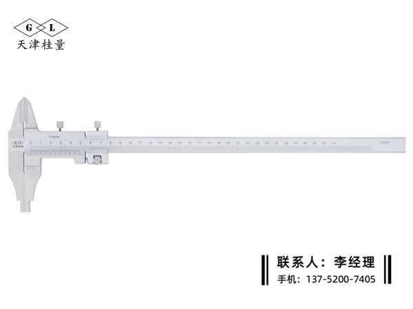 整体双外爪游标卡尺0-300mm