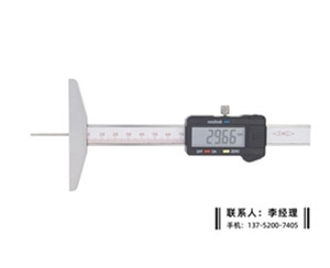 细杆数显深度卡尺0-100mm