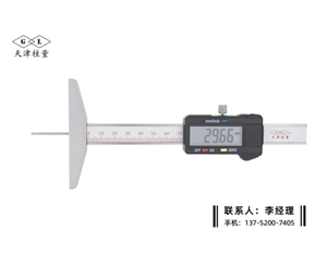 细杆数显深度卡尺0-100mm