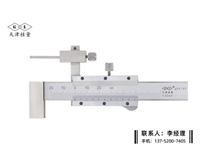 游标面差尺±20mm