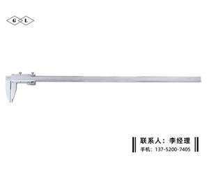 Ⅳ型游标卡...