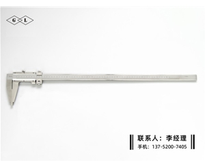Ⅳ型游标卡...