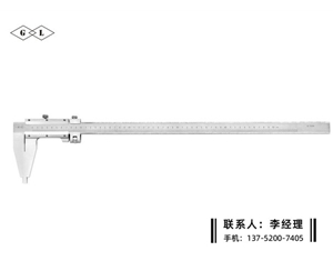 Ⅳ型游标卡...