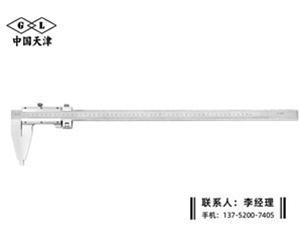 Ⅳ型游标卡...