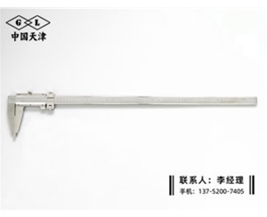 Ⅳ型游标卡...